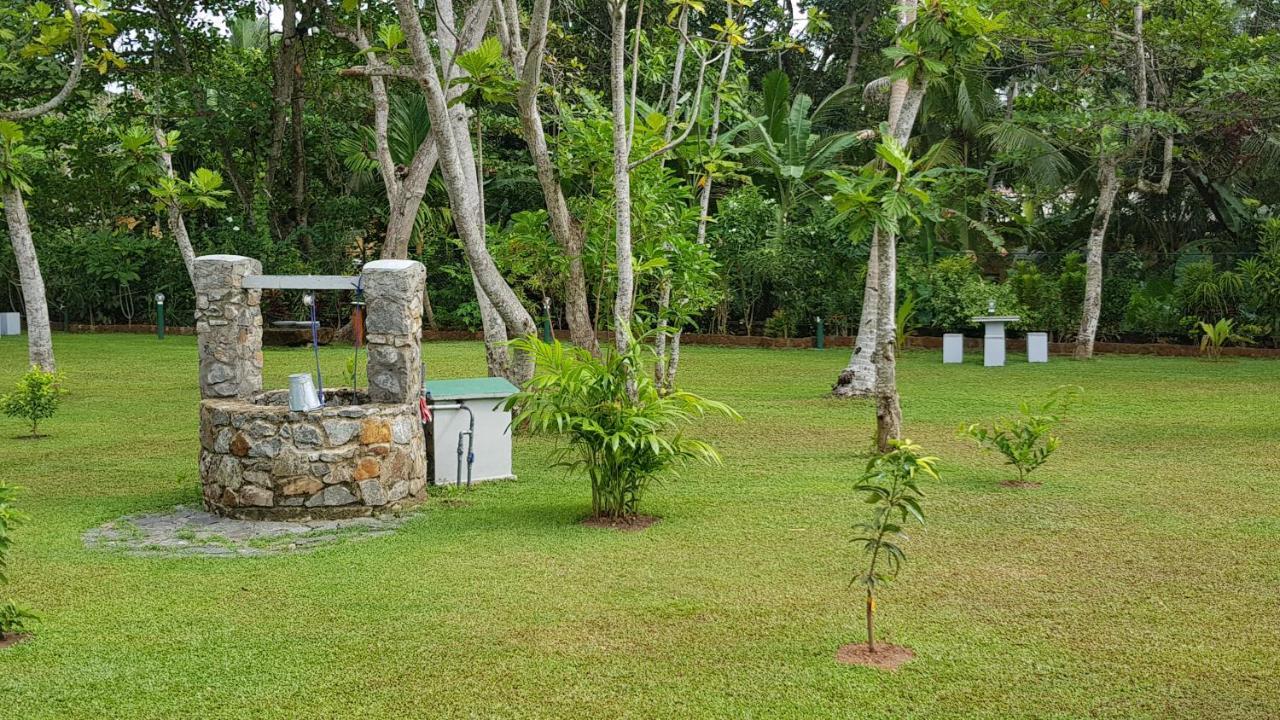 Nature Paradise Villa Балапития Екстериор снимка